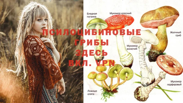 jwh Балахна