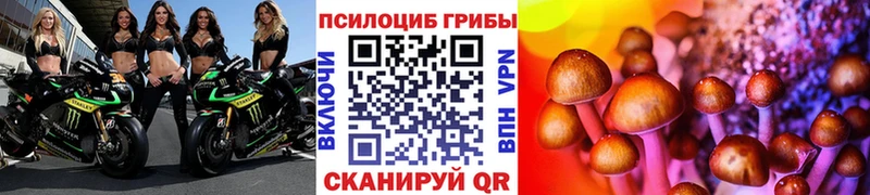 Галлюциногенные грибы Magic Shrooms Афипский