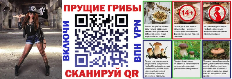 купить наркотики сайты  Афипский  Галлюциногенные грибы Psilocybe 